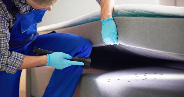 Best Residential Pest Control  in Long Beach, CA