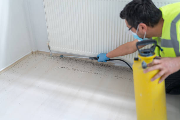 Best Pest Inspection Near Me  in Long Beach, CA